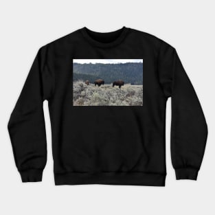 Bison in Yellowstone Crewneck Sweatshirt